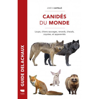 Canidés du monde – Loups, chiens sauvages, renards, chacals, coyotes… (José Castelló)