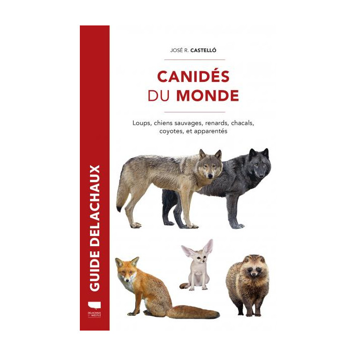 Canidés du monde – Loups, chiens sauvages, renards, chacals, coyotes… (José Castelló)