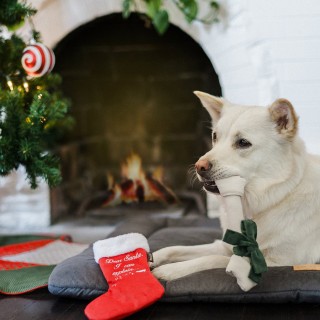 Botte de Noël avec os en tissu (Merry Woofmas Good Dog Stocking)