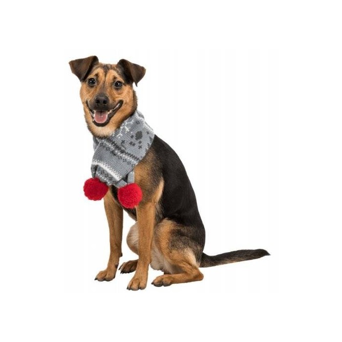 Echarpe pour chien