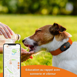 Mini Traceur GPS Weenect pour chiens (Weenect XS Black Edition)