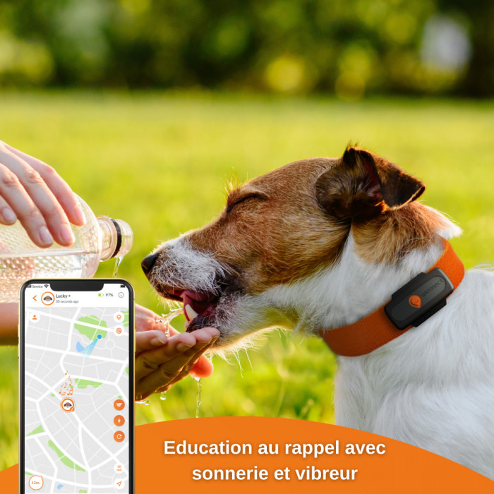 OFFRE SPECIALE PRINTEMPS – Mini Traceur GPS Weenect pour chiens (Weenect XS Black Edition)