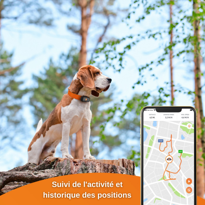 OFFRE SPECIALE PRINTEMPS – Mini Traceur GPS Weenect pour chiens (Weenect XS Black Edition)