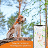 OFFRE SPECIALE PRINTEMPS – Mini Traceur GPS Weenect pour chiens (Weenect XS Black Edition)