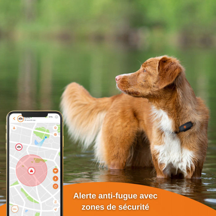 OFFRE SPECIALE PRINTEMPS – Mini Traceur GPS Weenect pour chiens (Weenect XS Black Edition)