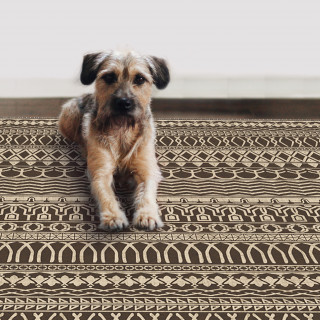 Tapis de maison pratique, lavable, anti-taches – Dim. 150 x 210 cm (Cadiz Expresso Area Rug)