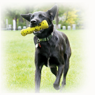 KONG Reflex Stick - Flottant - Léger