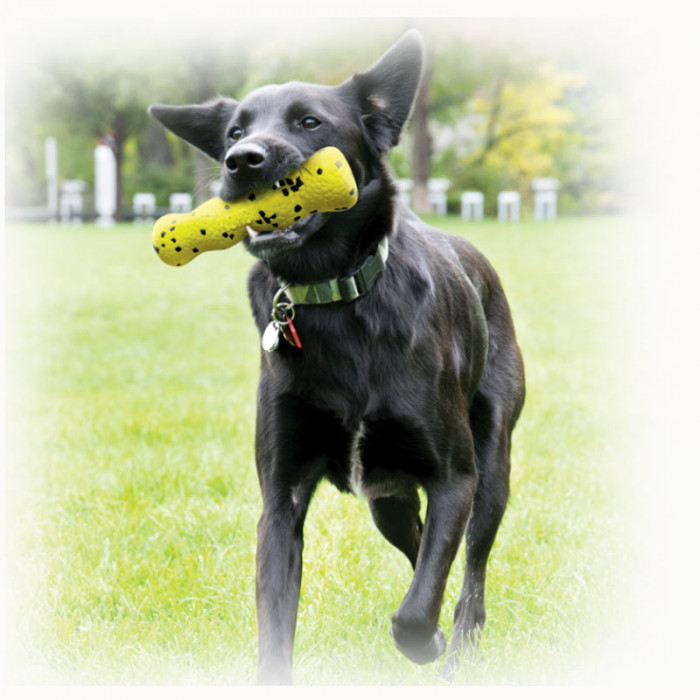 KONG Reflex Stick - Flottant - Léger