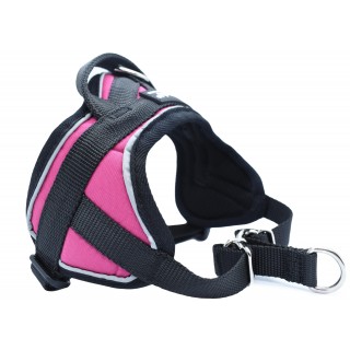 -25% Tailles XXS et XS – Harnais Animalin® REFLEX Fuchsia
