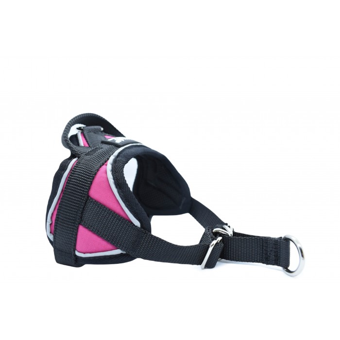 -30% Tailles XXS – Harnais Animalin® REFLEX Fuchsia