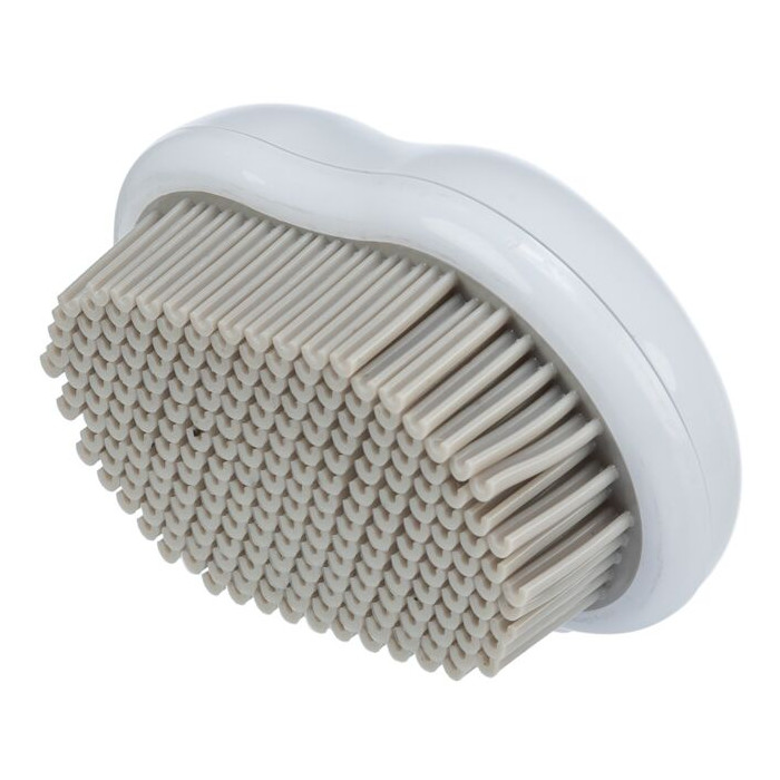 Brosse anti-poils pour vêtements et tissus d‘ameublement
