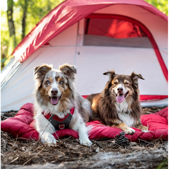 Plaid de camping (Loft Wander Bed) 2 tailles