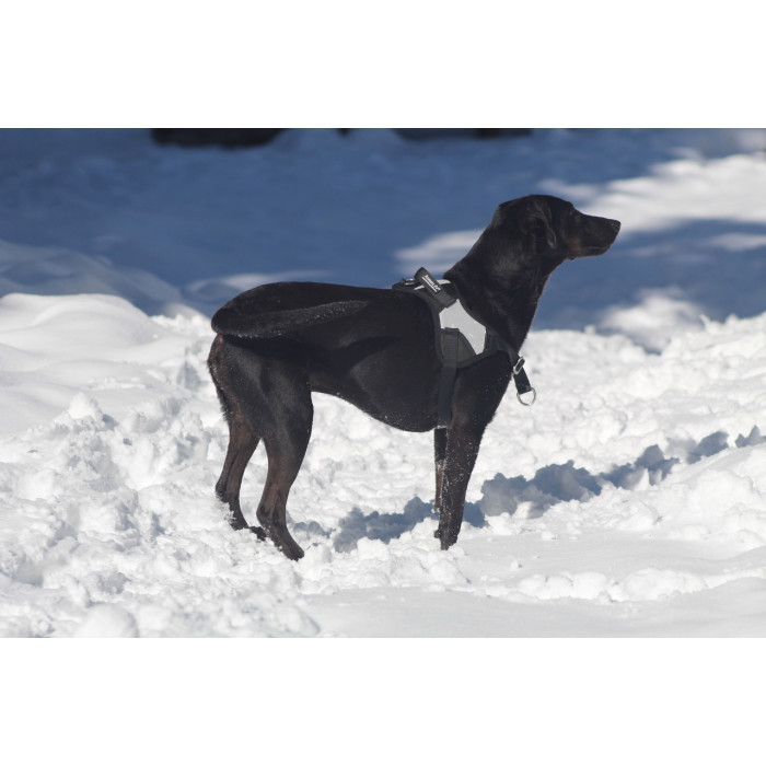 Reflex Plus Vert Kaki – 5 tailles – Harnais de marche en laisse