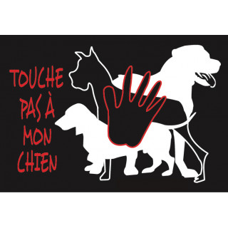 Auto-collant "Touche pas à mon chien" - 12 x 10 cm