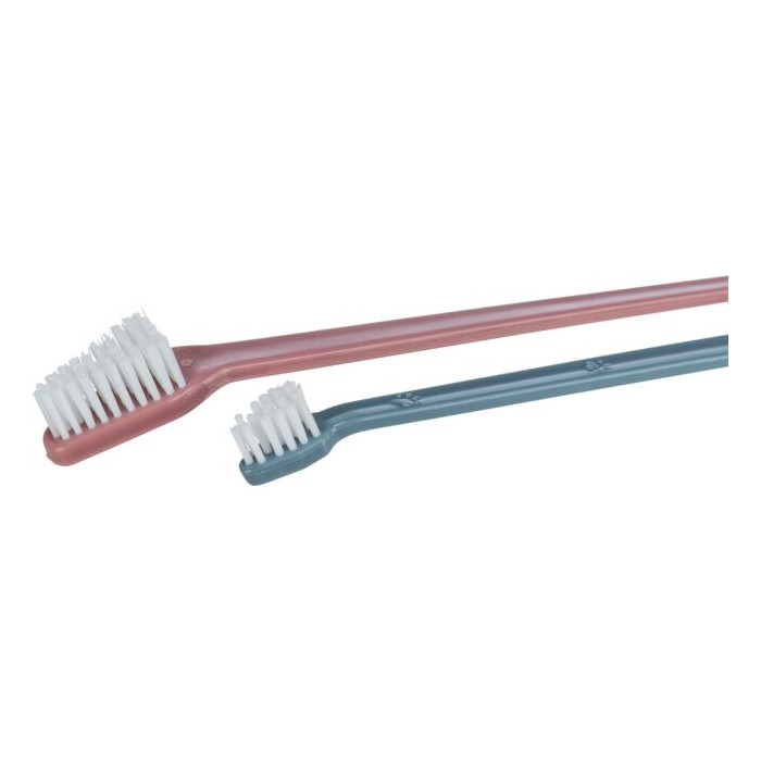 Set de 4 Brosses à dents pour chiens et chats (Grand format)