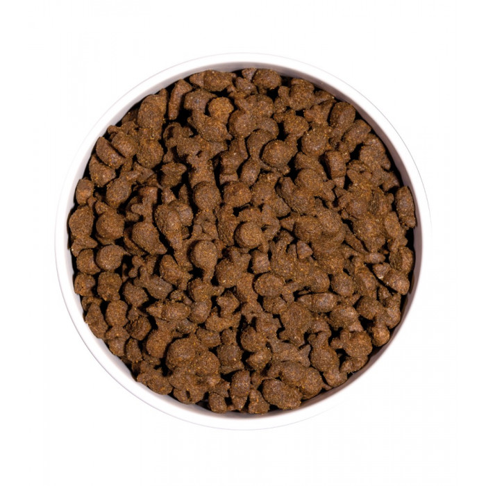 Croquettes OWNAT Sans céréales – Truite – Chiens adultes (sac de 14 kilos)