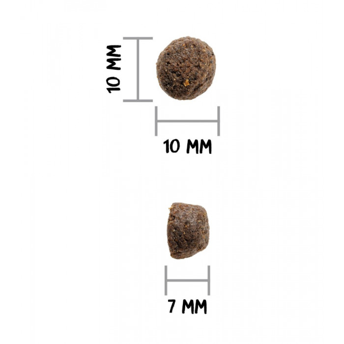 Croquettes OWNAT Sans céréales – Poisson gras – Chiens adultes (sac de 12 kilos)