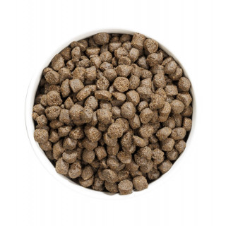 Croquettes OWNAT Sans céréales – Poisson gras – Chiens adultes (sac de 12 kilos)