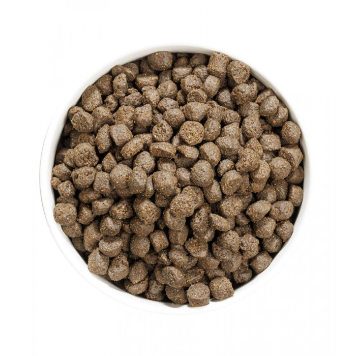 Croquettes OWNAT Sans céréales – Poisson gras – Chiens adultes (sac de 12 kilos)