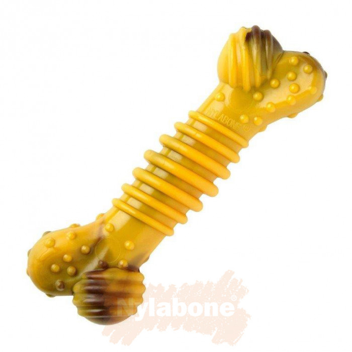 Os Nylabone® pour Chiens de moins de 11 kilos (Xtreme Chew Texture Bone)
