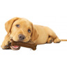 Os Nylabone® pour Chiots de moins de 11 kilos (Puppy Chew Teething Bone)