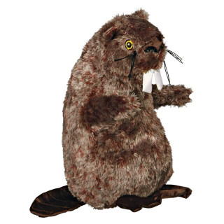 Castor en peluche – 2 tailles