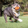 Balle ovale “Respire” (Chuckit!® Air Fetch Football)