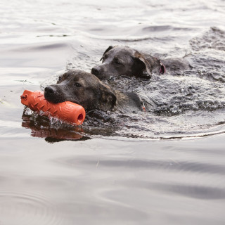 Flotteur orange (KONG Training Dummy)