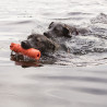 Flotteur orange (KONG Training Dummy)