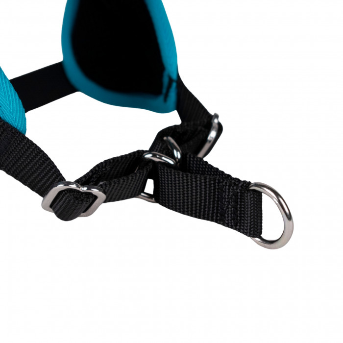 Harnais Animalin® CLASSIC Bleu - De XXS à XXL