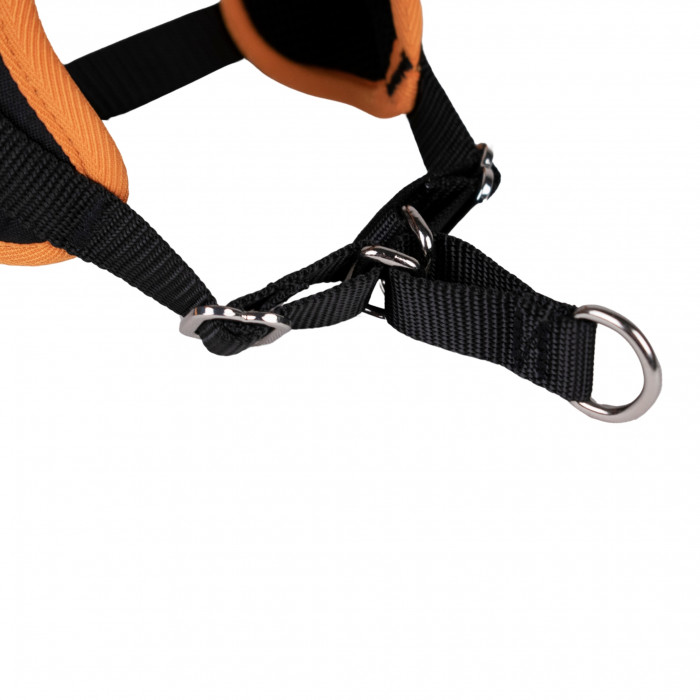 Harnais Animalin® CLASSIC Orange - De XXS à XXL