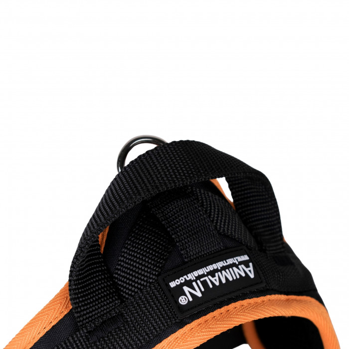 Harnais Animalin® CLASSIC Orange - De XXS à XXL