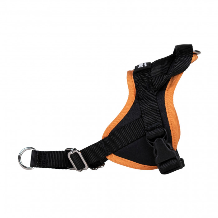 Harnais Animalin® CLASSIC Orange - De XXS à XXL