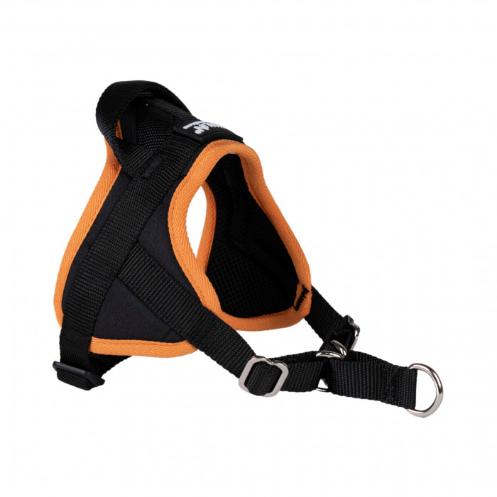 Harnais Animalin® CLASSIC Orange - De XXS à XXL