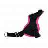 Harnais Animalin® CLASSIC Fuchsia - De XXS à XXL