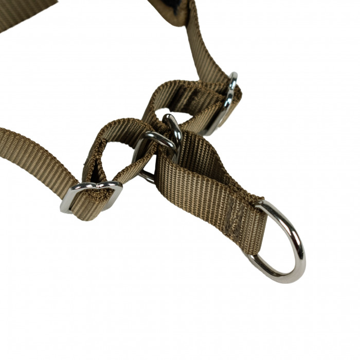 Automne Noisette – 5 tailles – Harnais de marche en laisse