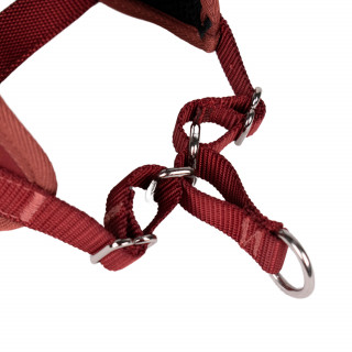 Automne Bordeaux – 5 tailles – Harnais de marche en laisse