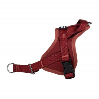 Automne Bordeaux – 5 tailles – Harnais de marche en laisse