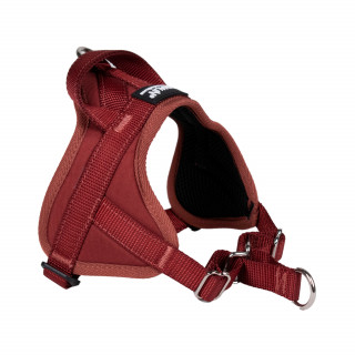 Automne Bordeaux – 5 tailles – Harnais de marche en laisse