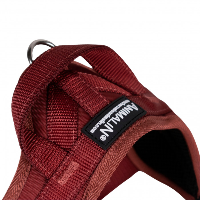 Automne Bordeaux – 5 tailles – Harnais de marche en laisse