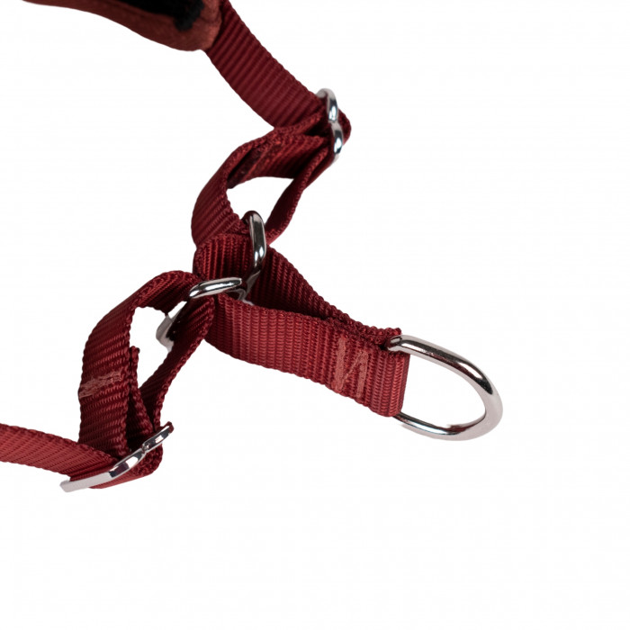 Automne Bordeaux – 5 tailles – Harnais de marche en laisse