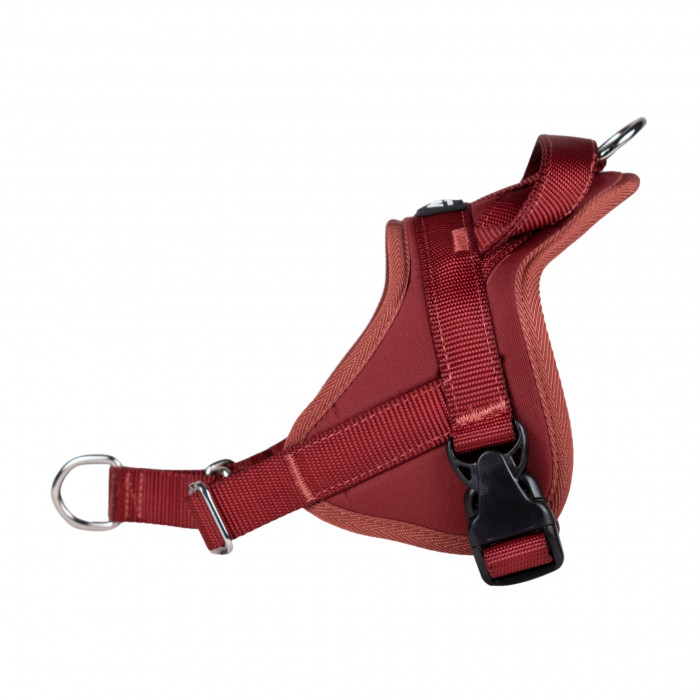 Automne Bordeaux – 5 tailles – Harnais de marche en laisse