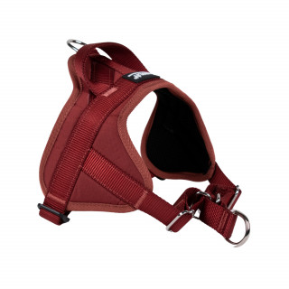 Automne Bordeaux – 5 tailles – Harnais de marche en laisse