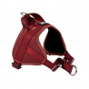 Automne Bordeaux – 5 tailles – Harnais de marche en laisse