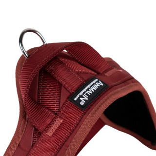 Automne Bordeaux – 5 tailles – Harnais de marche en laisse