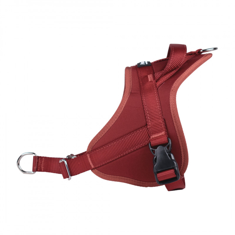Automne Bordeaux – 5 tailles – Harnais de marche en laisse