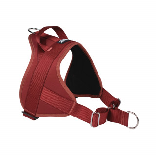 Automne Bordeaux – 5 tailles – Harnais de marche en laisse