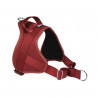 Automne Bordeaux – 5 tailles – Harnais de marche en laisse