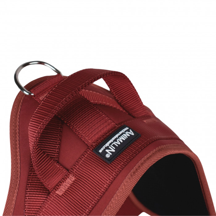 Automne Bordeaux – 5 tailles – Harnais de marche en laisse