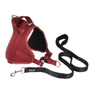 -15% Kit Harnais Automne Animalin® Bordeaux (de S à XXL) + Laisse renforcée 1m20
